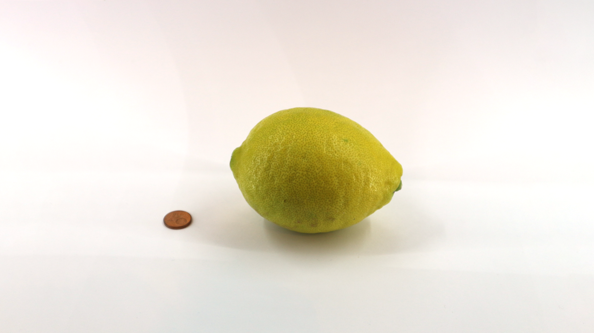Zitrone (Citrus × limon)