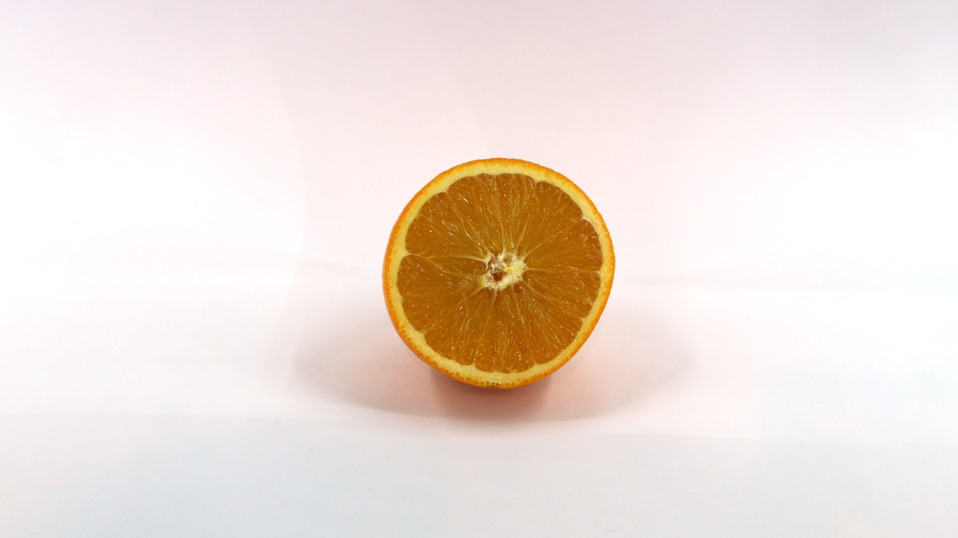 Orange (Citrus × sinensis)