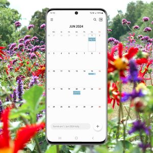 Digitaler Gartenkalender: Jahreszeiten - Monatsansicht