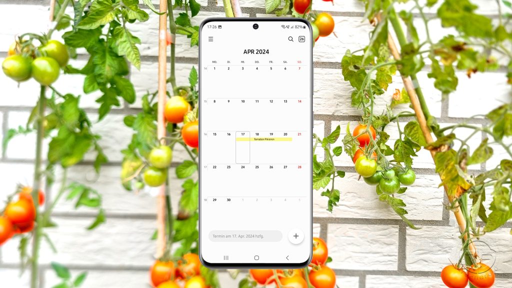 Digitaler Gartenkalender: Tomaten - Monatsansicht