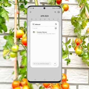 Digitaler Gartenkalender: Tomaten - Tagesansicht