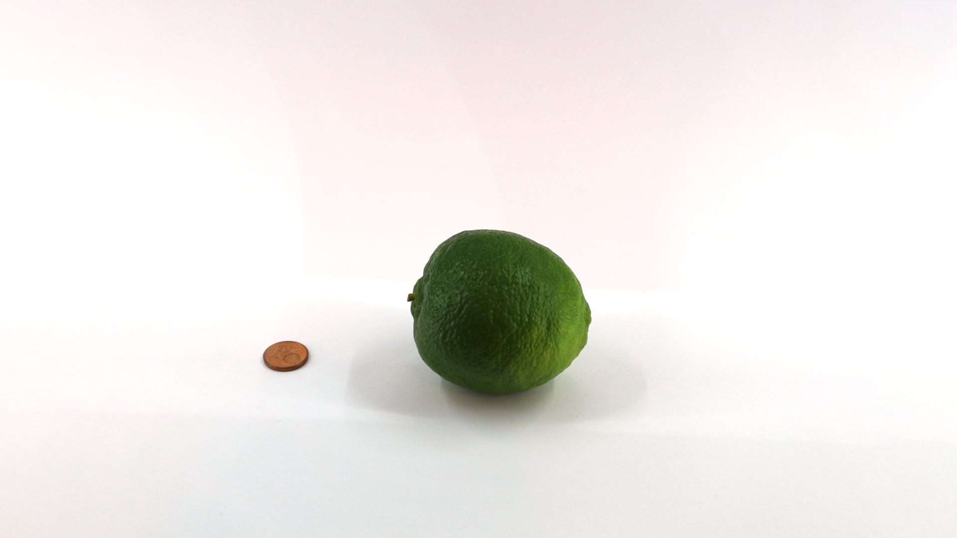 Limette (Citrus × latifolia)
