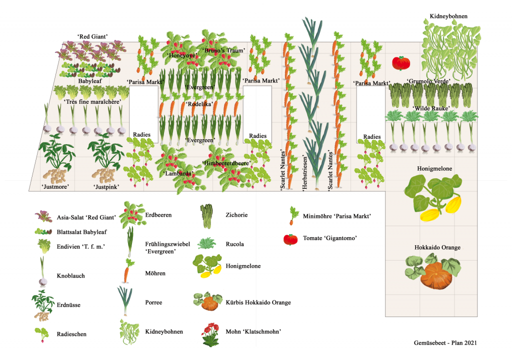 Gemüseplanung 2021